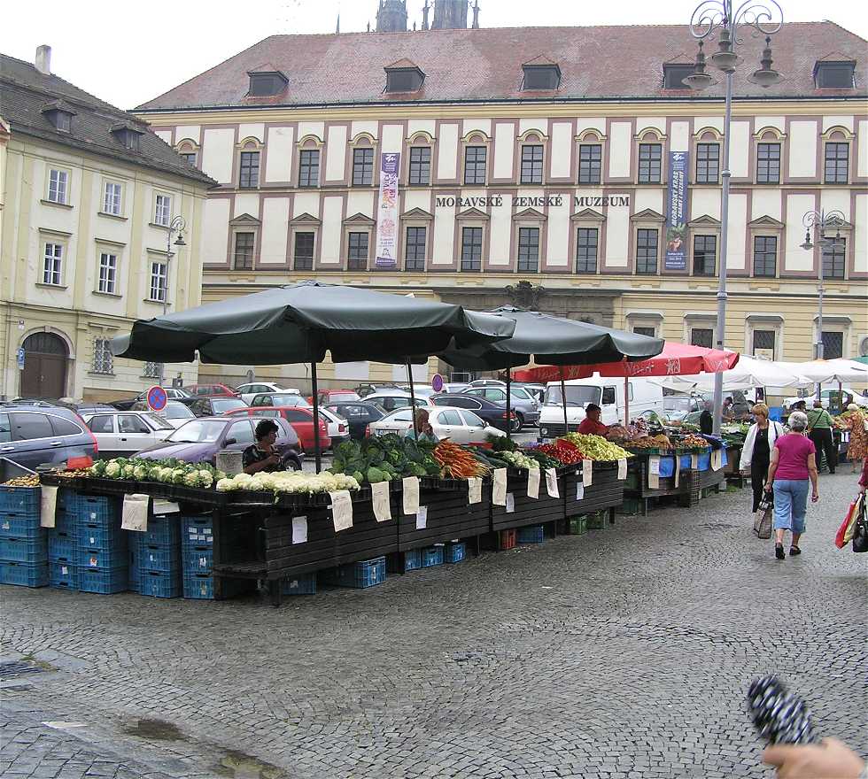 Tourisme à Brno