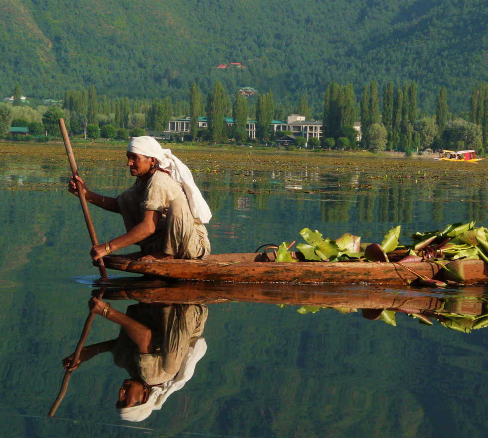 Landscape of Dal Lake in Srinagar, India Editorial Photo - Image of summer,  kashmir: 98610941