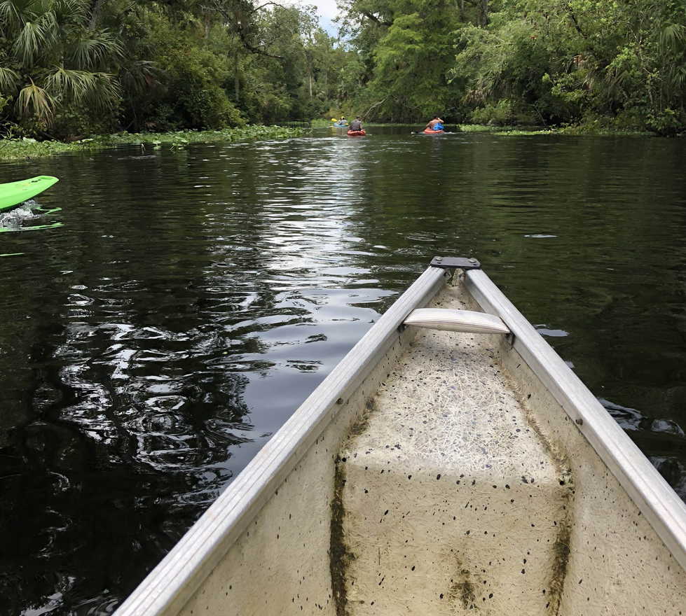 Photos of Wekiva Springs: Images and photos