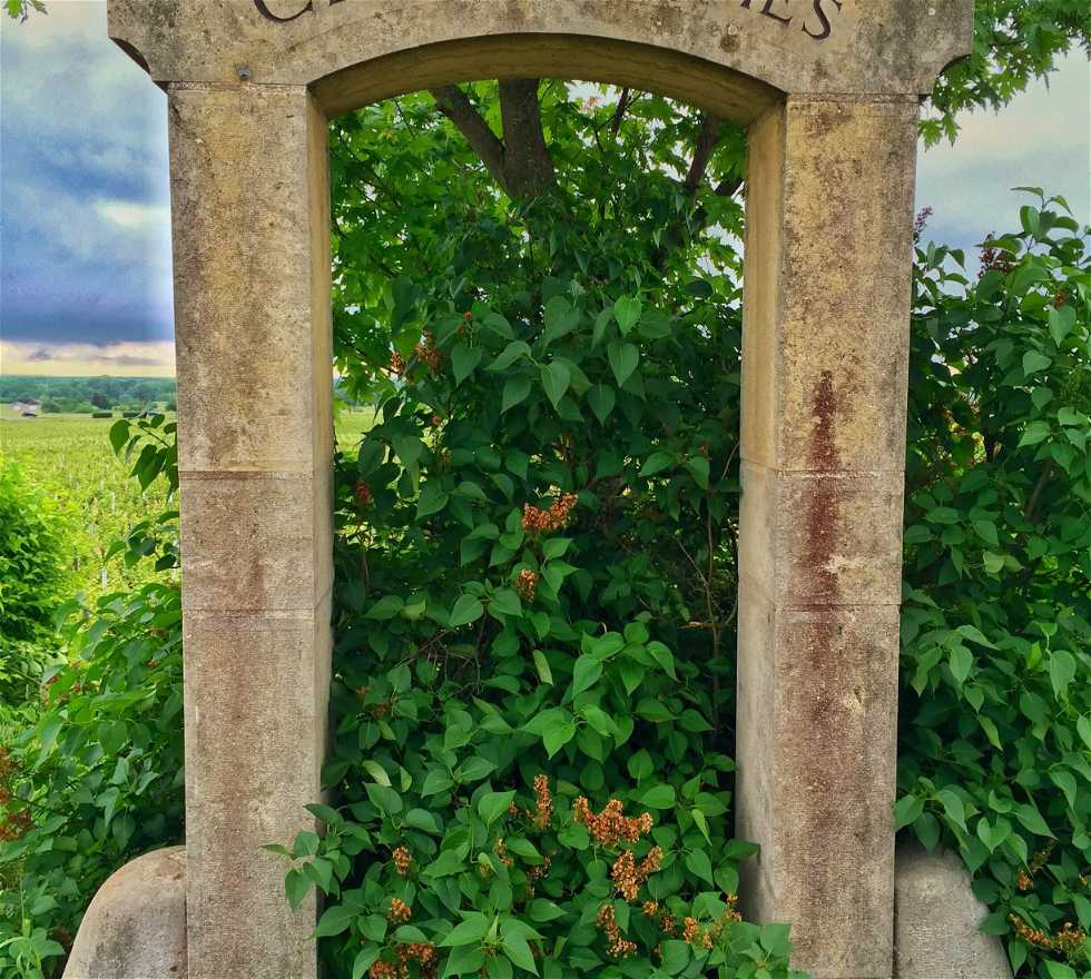 Arch in Gevrey-Chambertin