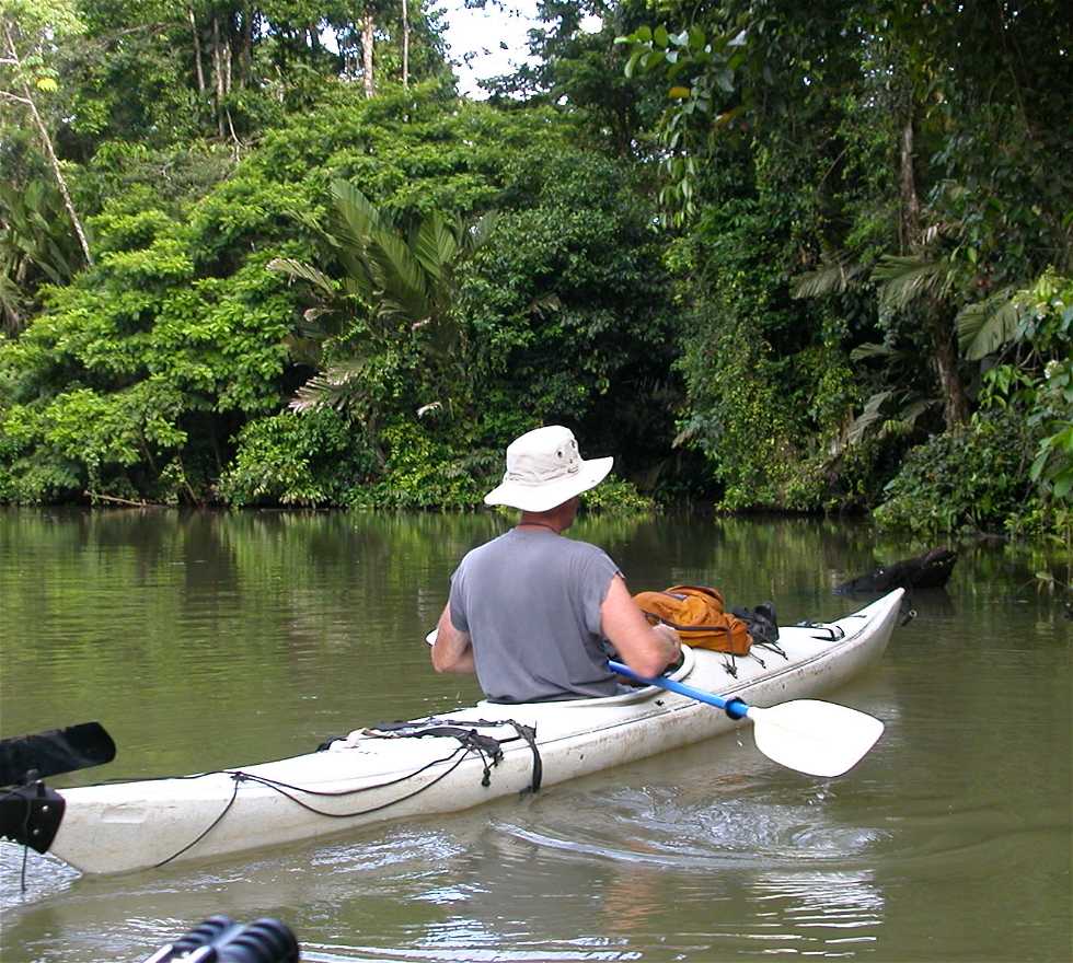 Kayak en Tortuguero