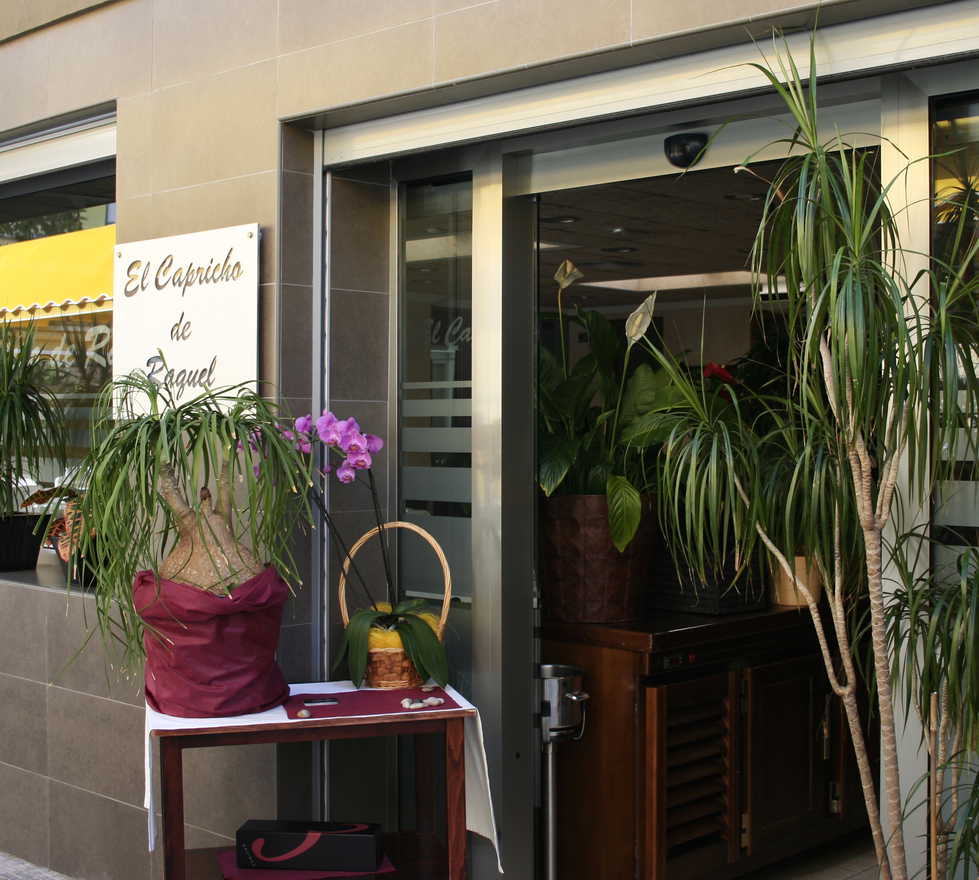 Fotos de Floristería en El Capricho de Raquel - Alicante ...