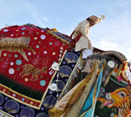 Festival en Jaipur