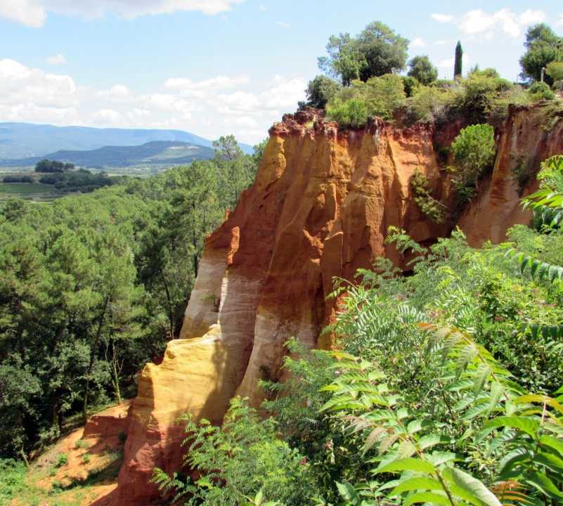 Rainforest in Roussillon