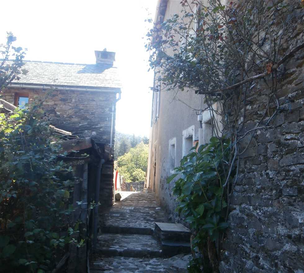 Alley in Saint-André-de-Valborgne