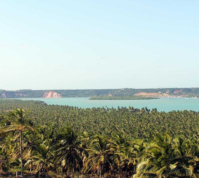 Orilla en Alagoas