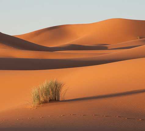 Desierto en Merzouga