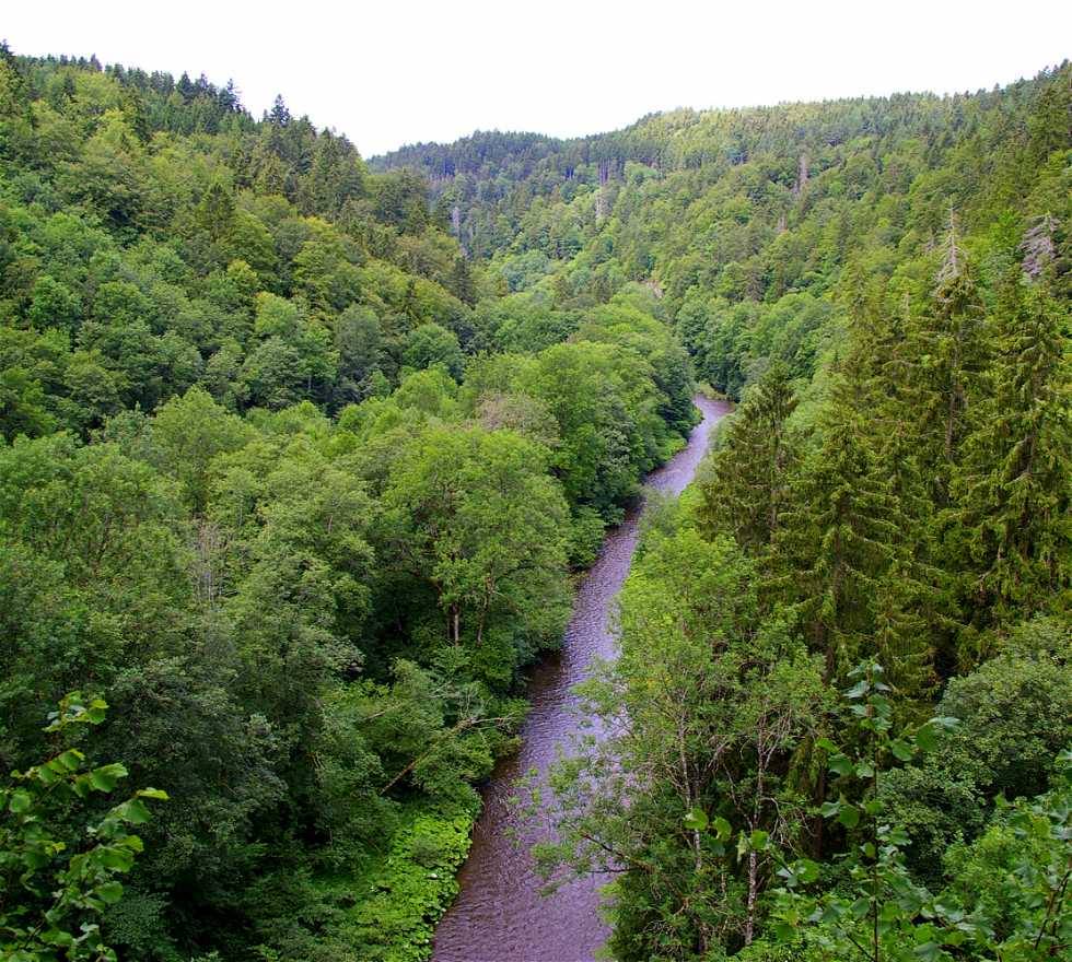 Selva en Bonndorf